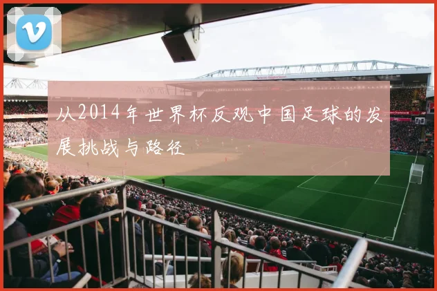 从2014年世界杯反观中国足球的发展挑战与路径